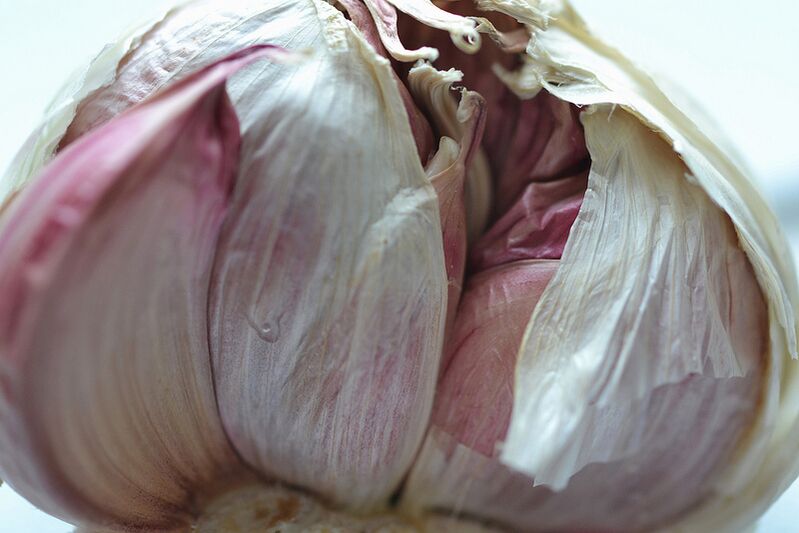 Cleansing the body of toxins and parasites with garlic