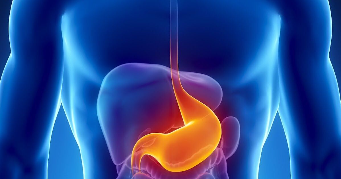 Contraindications to cleansing the body of parasites