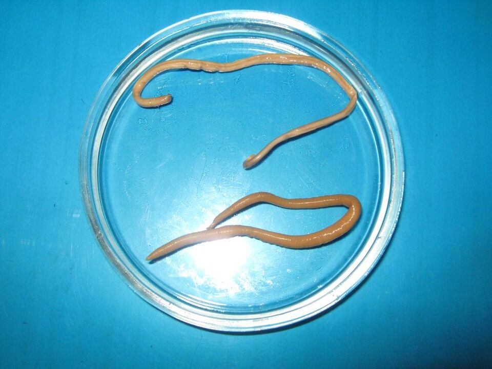 Helminths in the body