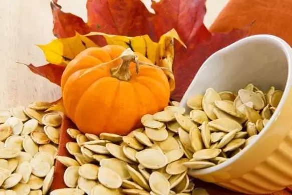 Pumpkin seeds against worms