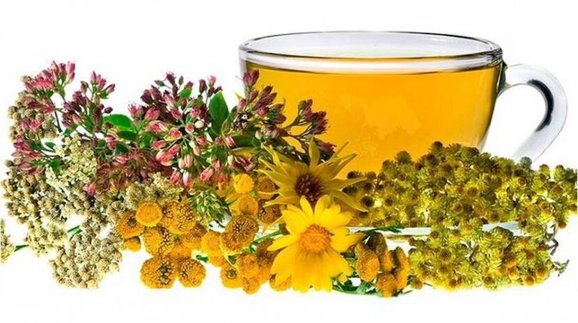 Chamomile decoction against parasites